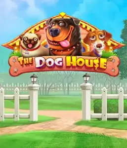 Experience Pragmatic Play's The Dog House, featuring a delightful journey through playful pups. Enjoy gameplay elements such as multipliers, perfect for delivering entertaining gameplay. Ideal for those who enjoy a lighthearted theme alongside lucrative rewards.